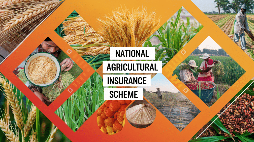 National Agricultural Insurance Scheme (NAIS): The Lifeline for Farmers Struggling in a Turbulent World